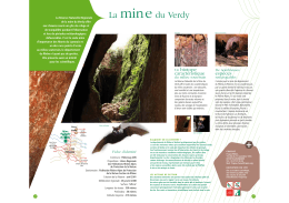 La mine du Verdy - Biodiversité en Rhône