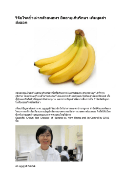 วิจัยโรคขั้วเน่ากล้วยหอมฯ ยืดอายุเก็บรักษา
