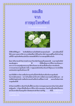 จาก www.thaiblogonline.com บีบีซีนิวส์ให้ข้อมูลว่า โทรศัพท์