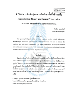 Article 5 - มหาวิทยาลัยทักษิณ