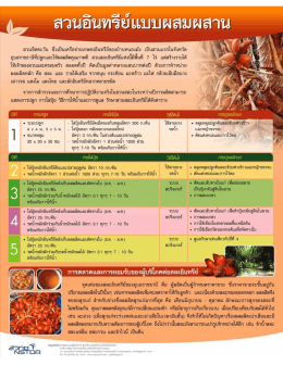 ถึงีบธิ์บทูยียุแบบผลีบผา