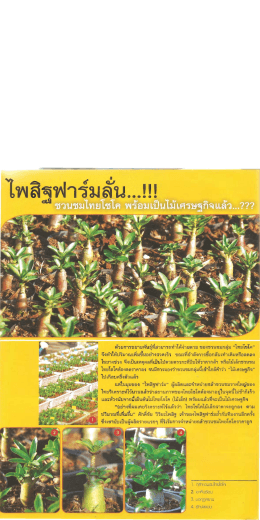 ไพสิฐฟาร์มลั่น! ชวนชมไทยโซโคพร้อมเป็นไม้เศษฐกิจแล้ว?