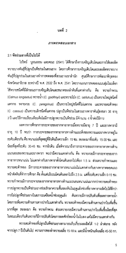 2.1 พชรวมยางทเป็นไปได้