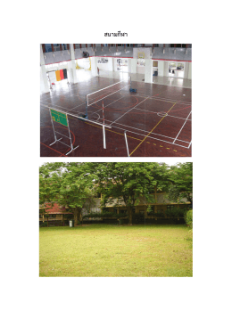 สนามกีฬา