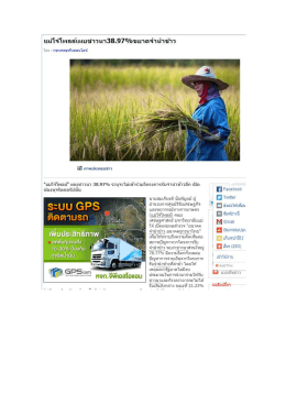 โพลล์อนาคตจำนำข้าว อนาคตชาวนาไทย