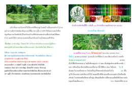 มะกอกไทย ผักจากป่า - ศูนย์ส่งเสริมและพัฒนาอาชีพการเกษตรจังหวัด