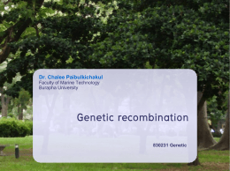 genetic recombination ในแบคทีเรีย