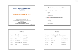 Structure of Medical Terms 2