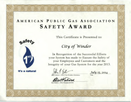 2013 APGA Safety Award