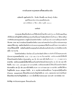 การประมงอวนรุนเคยทางฝั่งทะเลอันดามัน