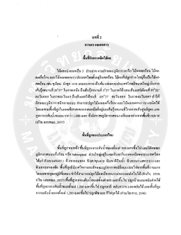 Page 1 บทที่ 2 # =# 4.4 • เลน พื้นทีกับการผลิตไม้ผล ไม้ผลแบ่งออกเป็น 3