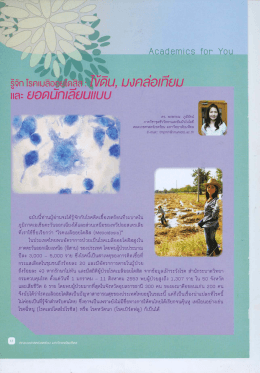 รํ0? ร๊อบ