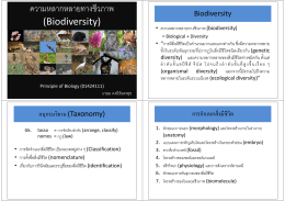 ความหลากหลายทางชีวภาพ (Biodiversity)
