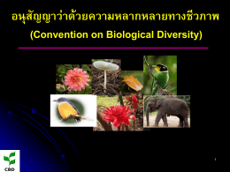 อนุสัญญาว่าด้วยความหลากหลายทางชีวภาพ (Convention on Biol