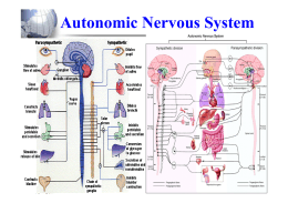 Autonomic Nervous System - ศูนย์ความเป็นเลิศด้านการดูแลผู้ป่วยโรคเรื้อรัง
