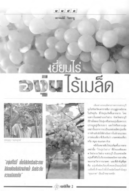 เยี่ยมไร่องุ่นไร้เมล็ด