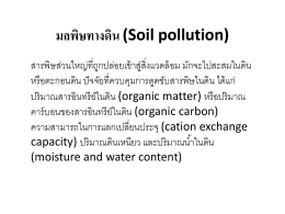 มลพิษทางดิน (Soil pollution)