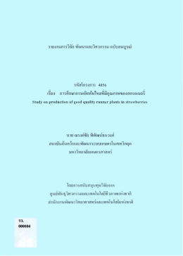 การศึกษาการผลิตต้นไหลที่มีคุณภาพของสตรอเบอรี่, Study on
