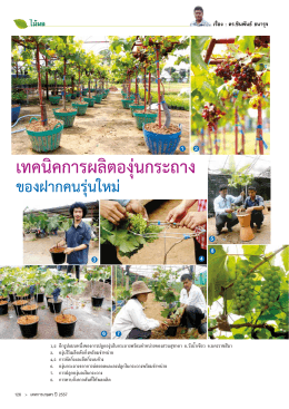 เทคนิคการผลิตองุ่นกระถาง - ระบบ E-Manage