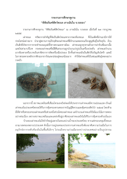 รายงานการศึกษาดูงาน “พิพิธภัณฑ์สัตว์ทะเล เกาะมันใน จ.ระยอง”
