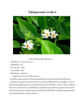 กรรณิการ์ - พระพุทธศาสนาในสวนพฤกษศาสตร์โรงเรียนเตรียมอุดมศึกษา