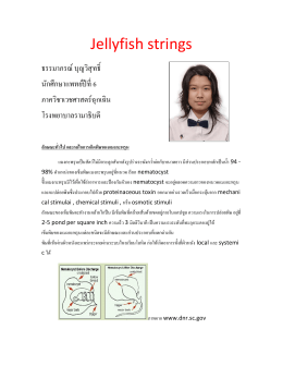 11.Jellyfish strings