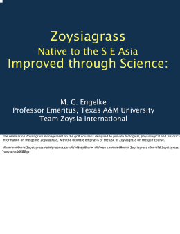 Zoysiagrass - Asian Turfgrass Center