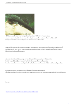 “ปลาซัคเกอร์” เอเลี่ยนที่จะทำให้ปลาไทยถึงกา