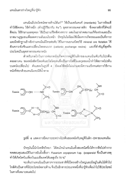 วารสารวิทยาศาสตร์ มข. ปีที่ 20-22 ฉบับที่ 3
