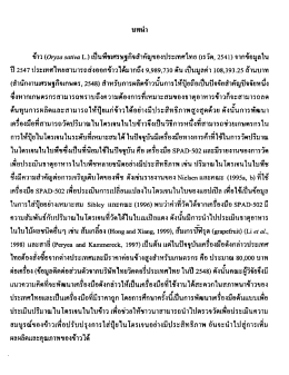 ปื 2547 ประเทศไทยสามารถส่งออกจ้าวใค้มากถง 9,989,730 ค  ¸