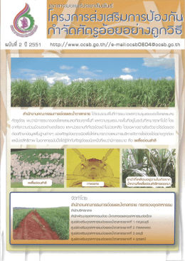 ฉบับที่ 2 - สำนักงานคณะกรรมการอ้อยและน้ำตาลทราย
