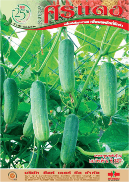 Full page photo - East