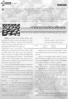 การตรวจสอบพืชและผลิตภัณฑ์ ดัดแปรพันธุกรรม
