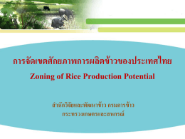 โครงการวิจัยเรื่อง การจัดเขตศักยภาพการผลิตข้าวของประเทศไทย
