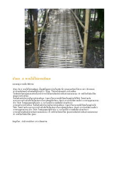 PDF : ขัวแตะ สะพานไม้ไผ่สานขัดแตะ