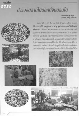 สำรวจตลาดไม้ดอกที่จีนตอนใต้