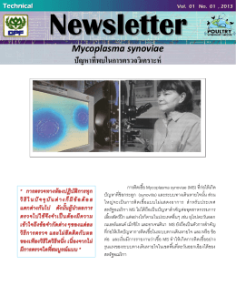 Mycoplasma synoviae ปัญหาที่พบในการตรวจวิเคราะห์ 2. PCR
