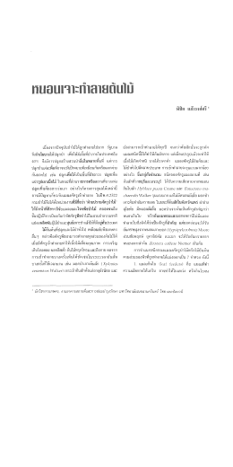 หบอบ|จาะกําลายป็บเ้บํ