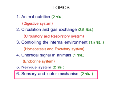 6. Sensory-and-motor-mechanism7_12_4