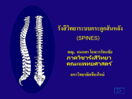 spine radiology - คณะแพทยศาสตร์ มหาวิทยาลัยเชียงใหม่