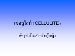 เซลลูไลท์ ( CELLULITE )