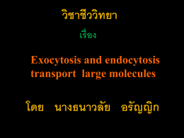 Exocytosis and endocytosis transport large molecules
