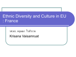 Ethnic Diversity and Culture in EU : France