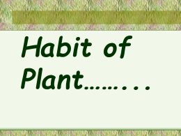 plant habit