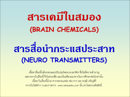 23brain_chemicals - นาย แพทย์ เอกชัย จุ ละ จา ริ ต ต์