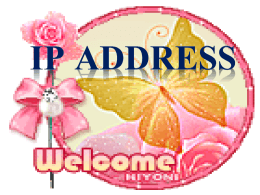 IP Address คือหมายเลขประจำเครื่องคอมพิวเตอร์ ซึ่งประกอบด้วยตัวเลข 4