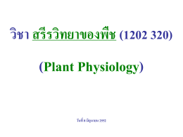 สรีรวิทยาของพืช 1202 320 Plant Physiology, 8 มิถุนายน 2552