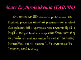 Acute Erythroleukemia (FAB:M6)