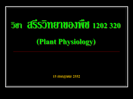 สรีรวิทยาของพืช 1202 320 Plant Physiology, 15 กรกฎาคม 2552