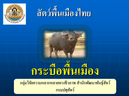 เอกสารPowerpoint - สำนัก พัฒนา พันธุ์ สัตว์